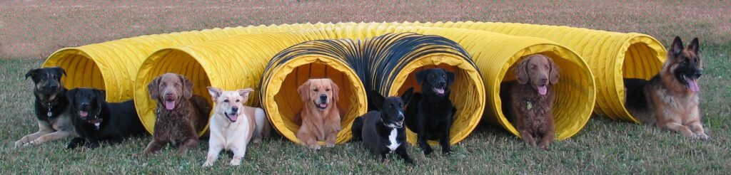 TAC PACK